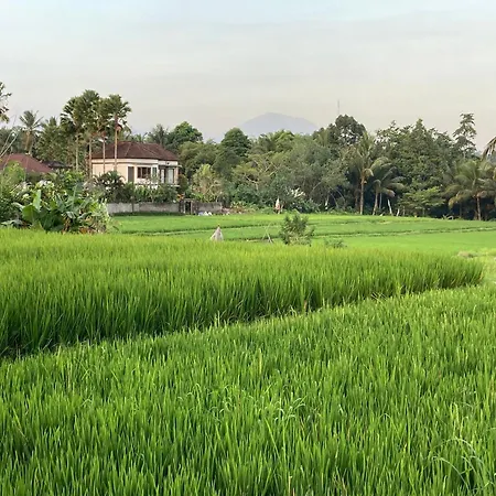Beautiful Villa In Ubud Center With Pool