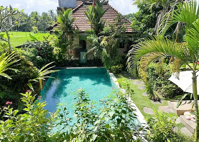 Beautiful Private Pool Walk To Town Center Sunrise Views *