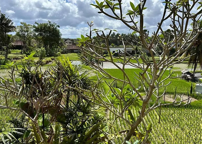 Villa Beautiful Private Pool Walk To Town Center Sunrise Views *