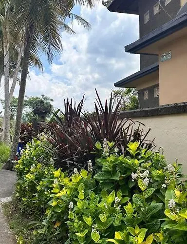 Beautiful Private Pool Walk To Town Center Sunrise Views