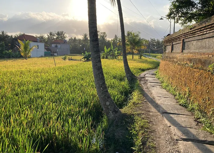 Beautiful Private Pool Walk To Town Center Sunrise Views Villa